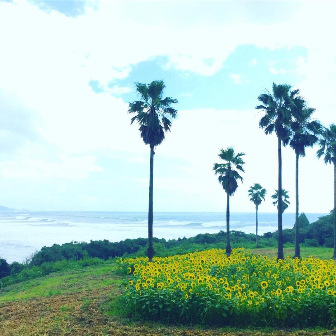 Guesthouse ＆ Beach Cafe Fuego Hyuga ภายนอก รูปภาพ
